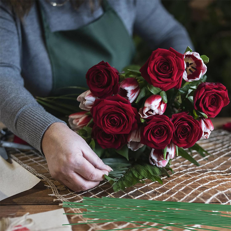 5–100 Stück Mini-Grüne Blumend – Wire Stem Florist Bewertung und Preis